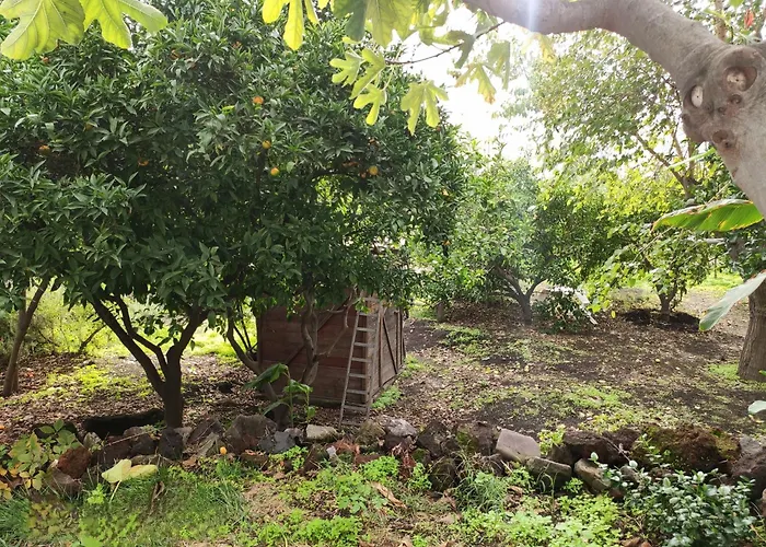 La Casa Di Nonna Ida