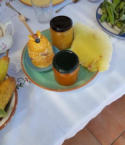 Agriturismo Solemare